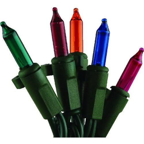 150 Count Incandescent Heavy-Duty Net Light Set F36714