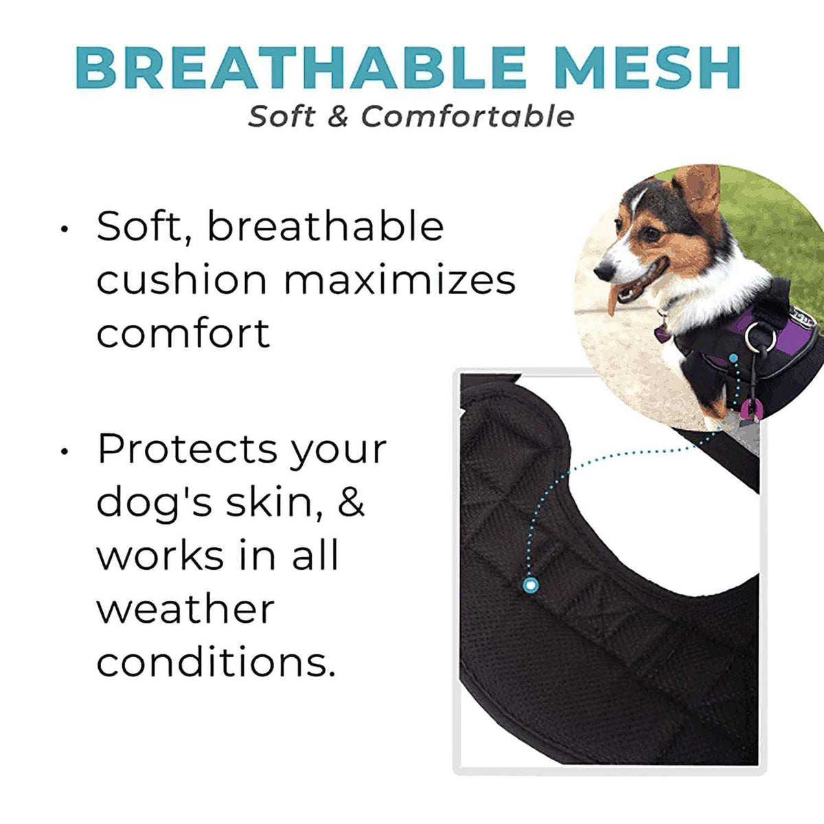 No Pull Easy On-Off Dog Harness T3589