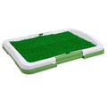 Potty Trainer C36677