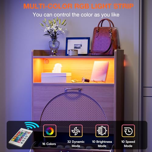 Natural LED Rattan Wood Shoe Storage Cabinet with 2 Flip Drawers D54544