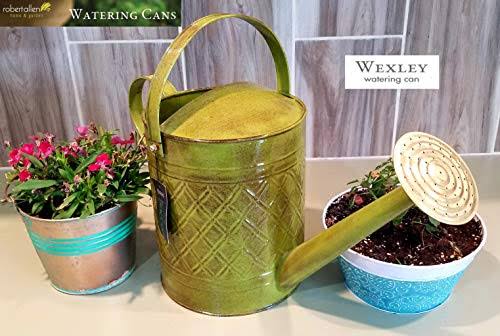 2-Gallon Watering Can F6994