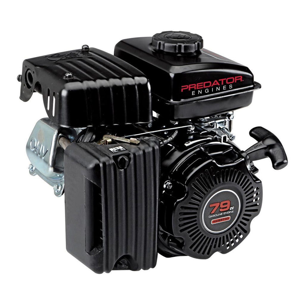 79cc OHV Horizontal-Shaft Gas Engine D828197
