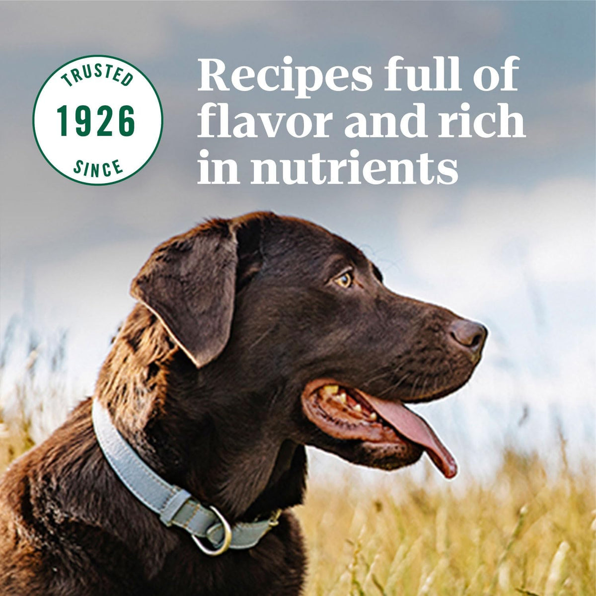 Large Breed Adult Dry Dog Food, Lamb & Brown Rice Recipe, 40 lb. Bag F172