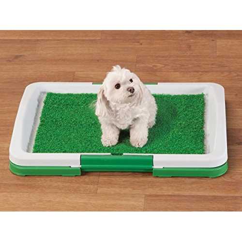 Potty Trainer C36677