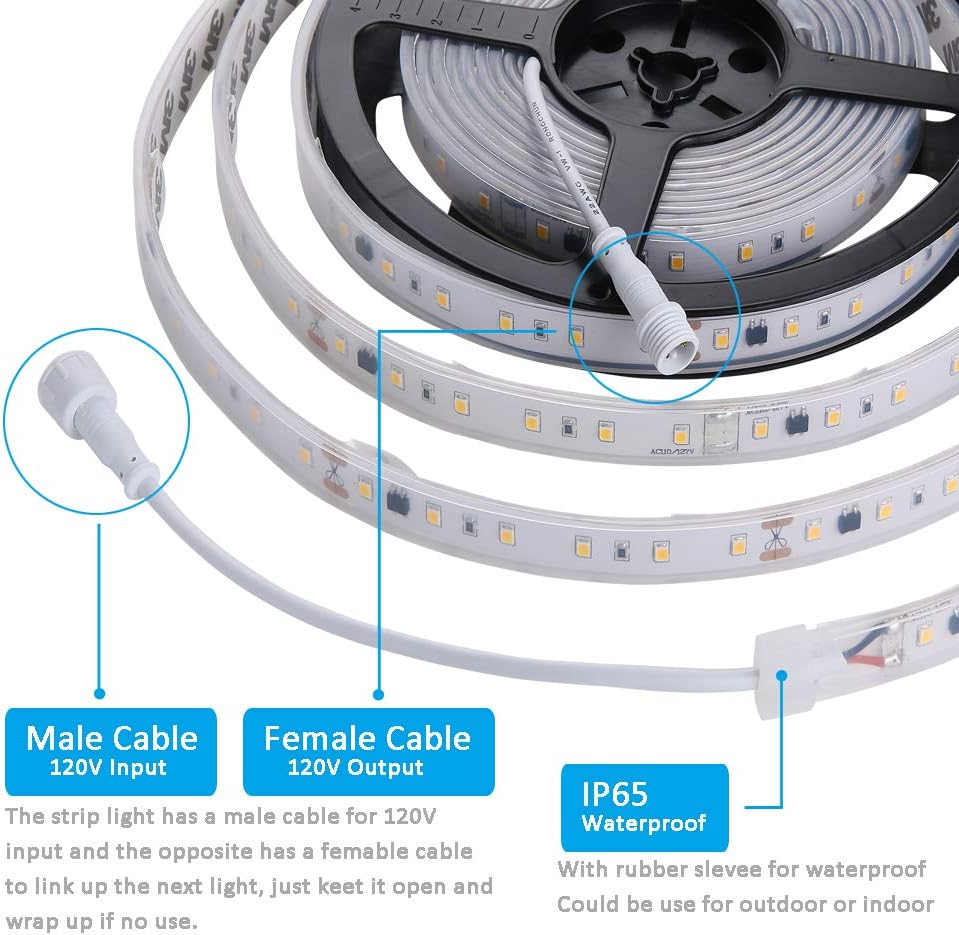 120V Dimmable Waterproof IP65 Cool White 6000K LED Strip Light C230