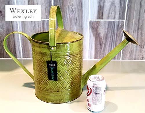 2-Gallon Watering Can F6994