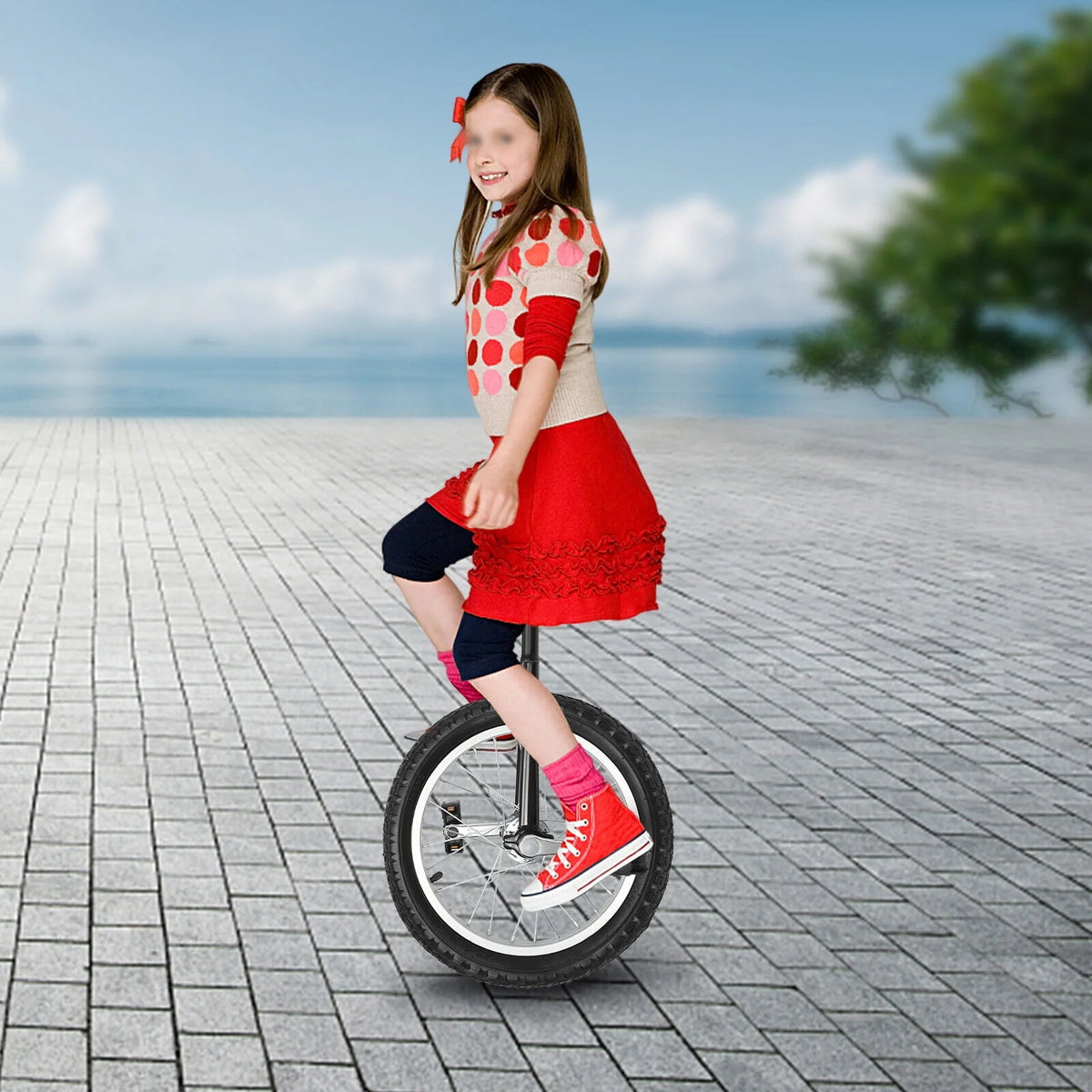16 Wheel Adjustable Unicycle V910844
