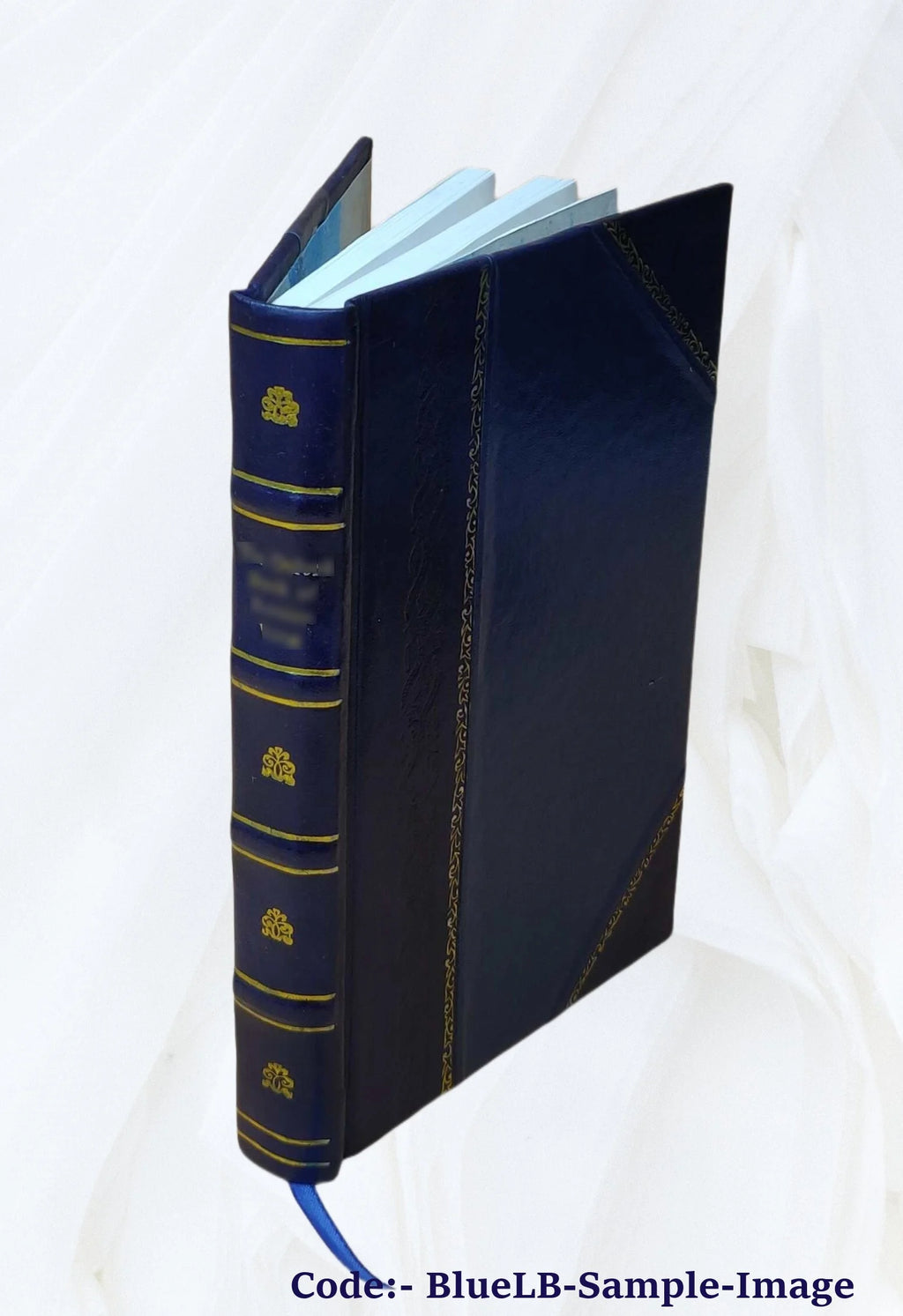 Leather Bound Z488