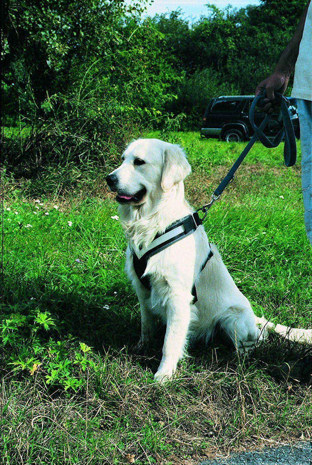 Large Harness K39471