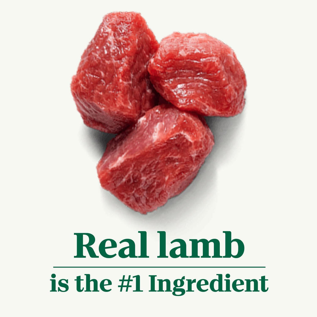 Large Breed Adult Dry Dog Food, Lamb & Brown Rice Recipe, 40 lb. Bag F172