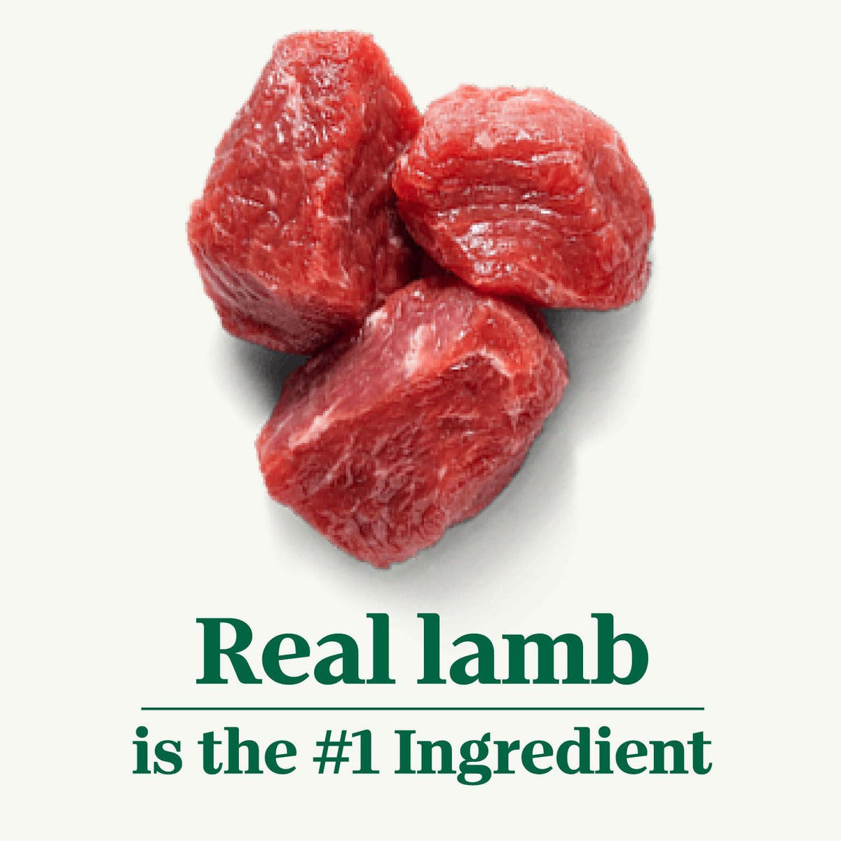 Large Breed Adult Dry Dog Food, Lamb & Brown Rice Recipe, 40 lb. Bag F172