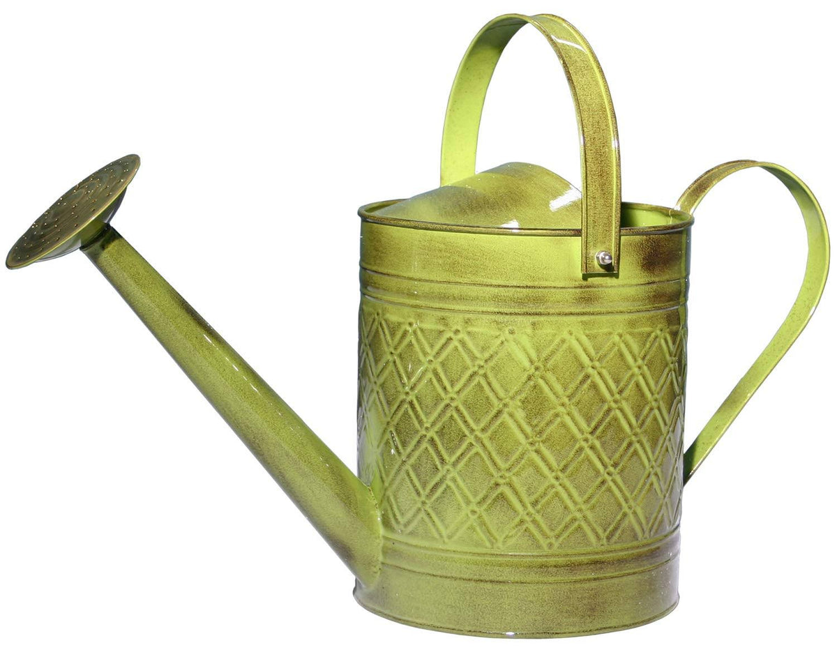 2-Gallon Watering Can F6994