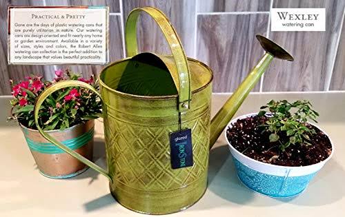 2-Gallon Watering Can F6994