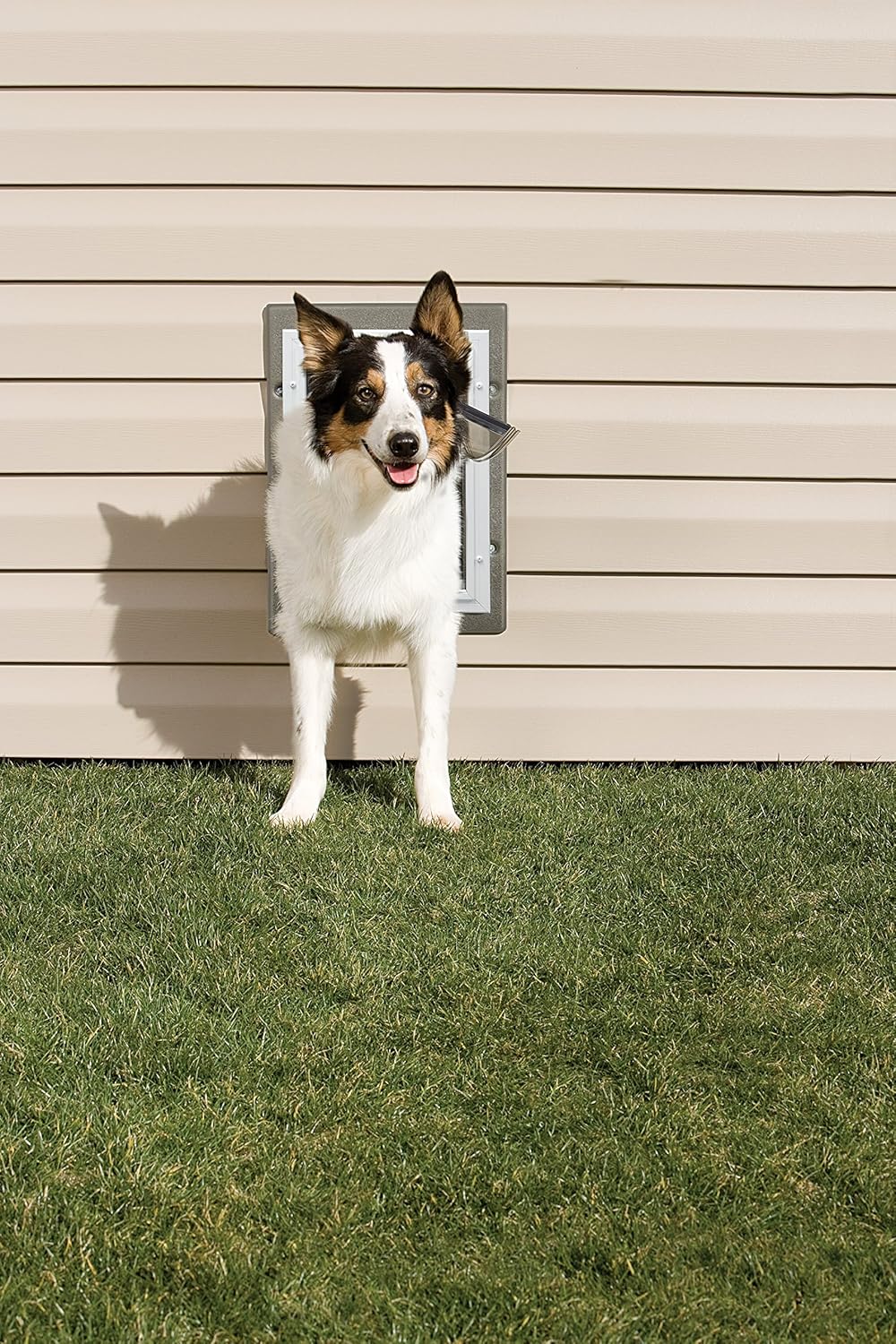 Aluminum Pet Door with Telescoping Tunnel, Medium I69283