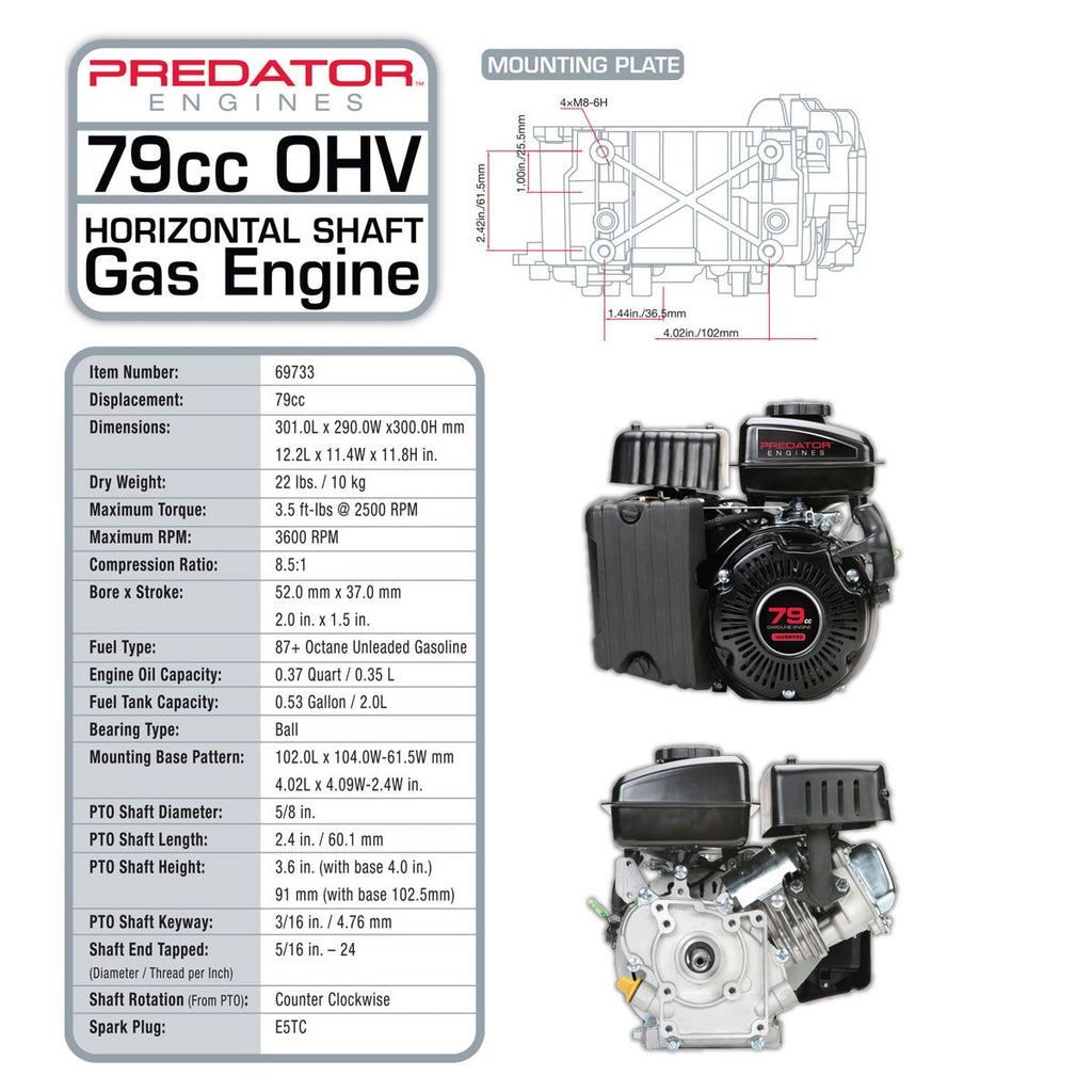 79cc OHV Horizontal-Shaft Gas Engine D828197