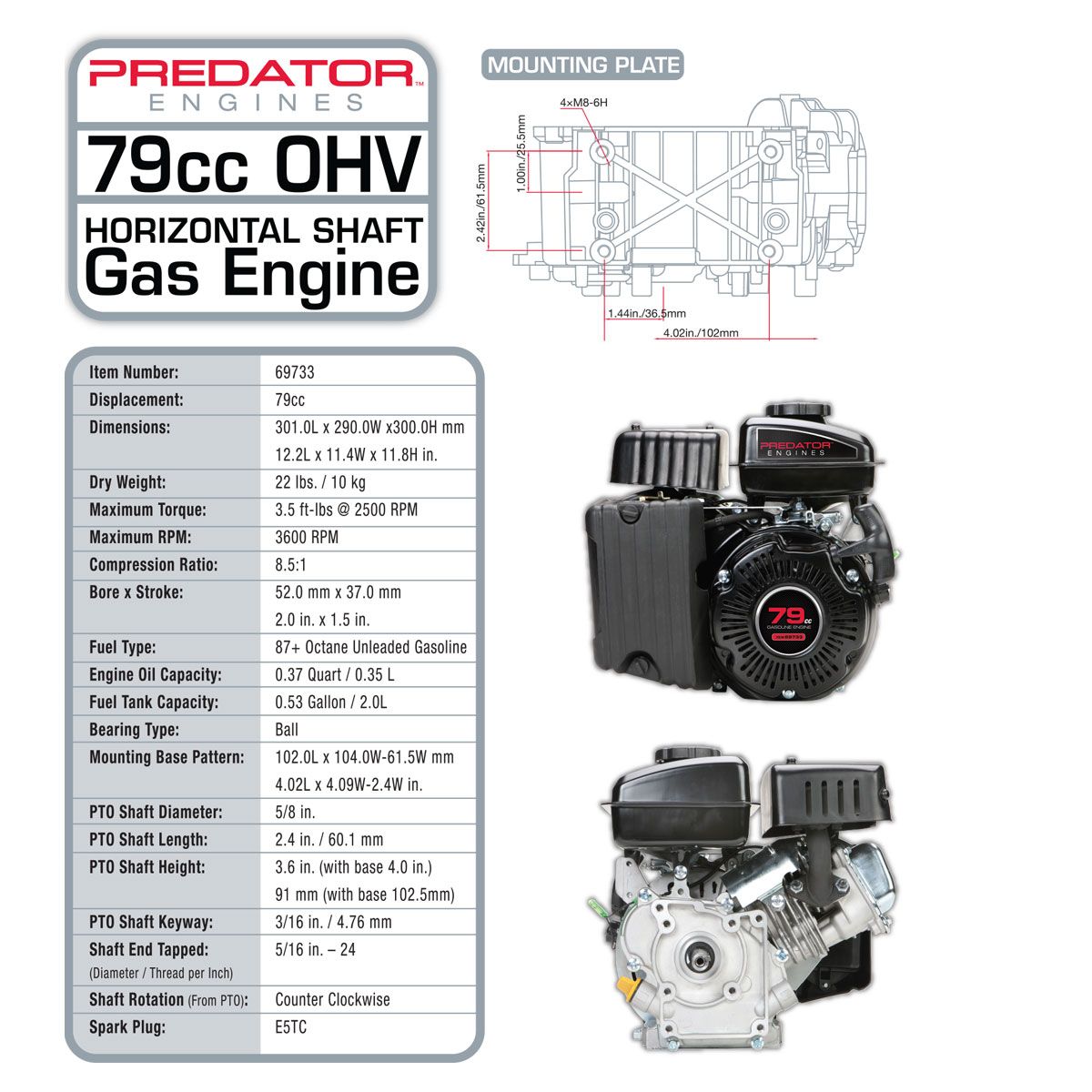 79cc OHV Horizontal-Shaft Gas Engine D828197