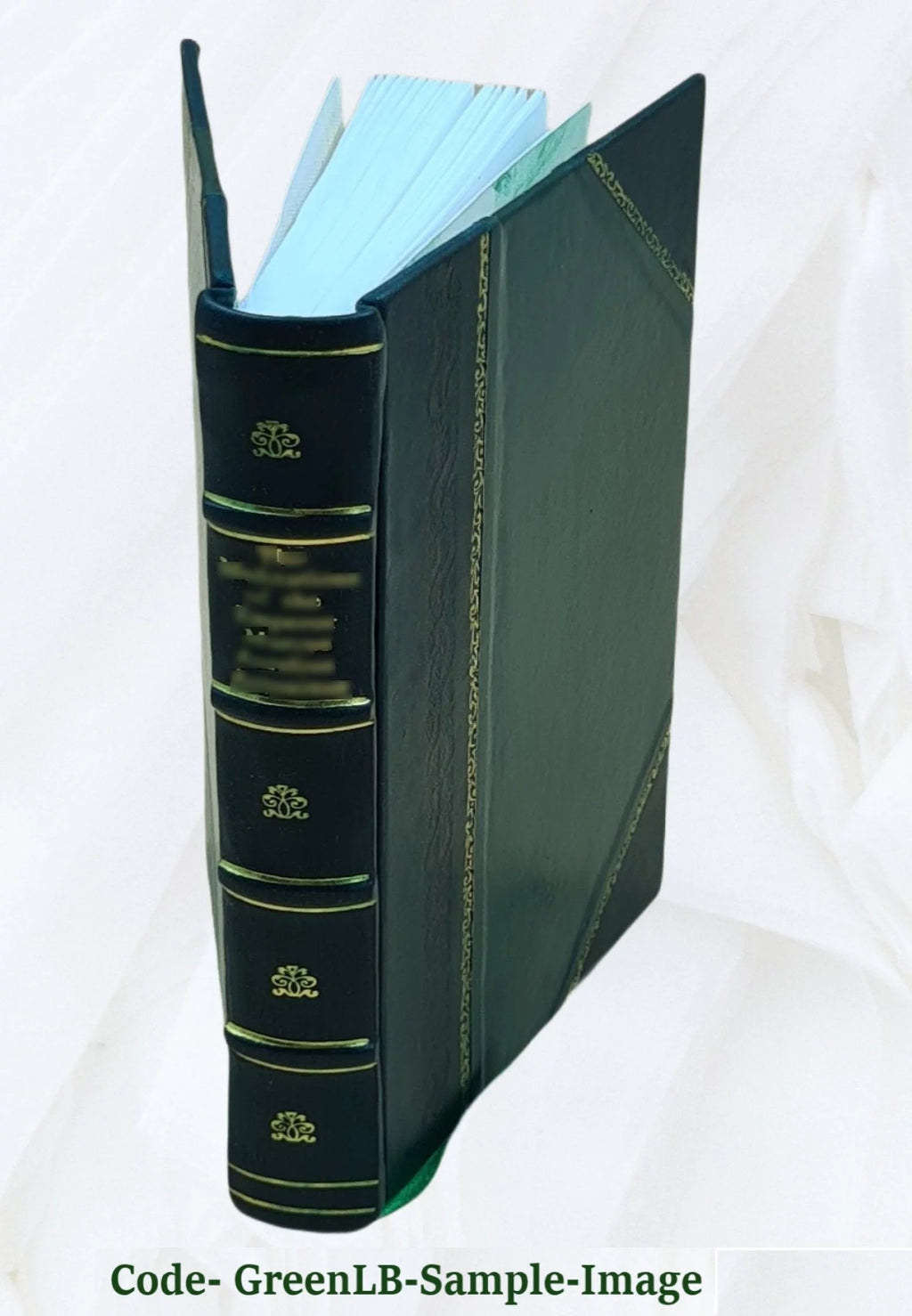 Leather Bound Book Q3158